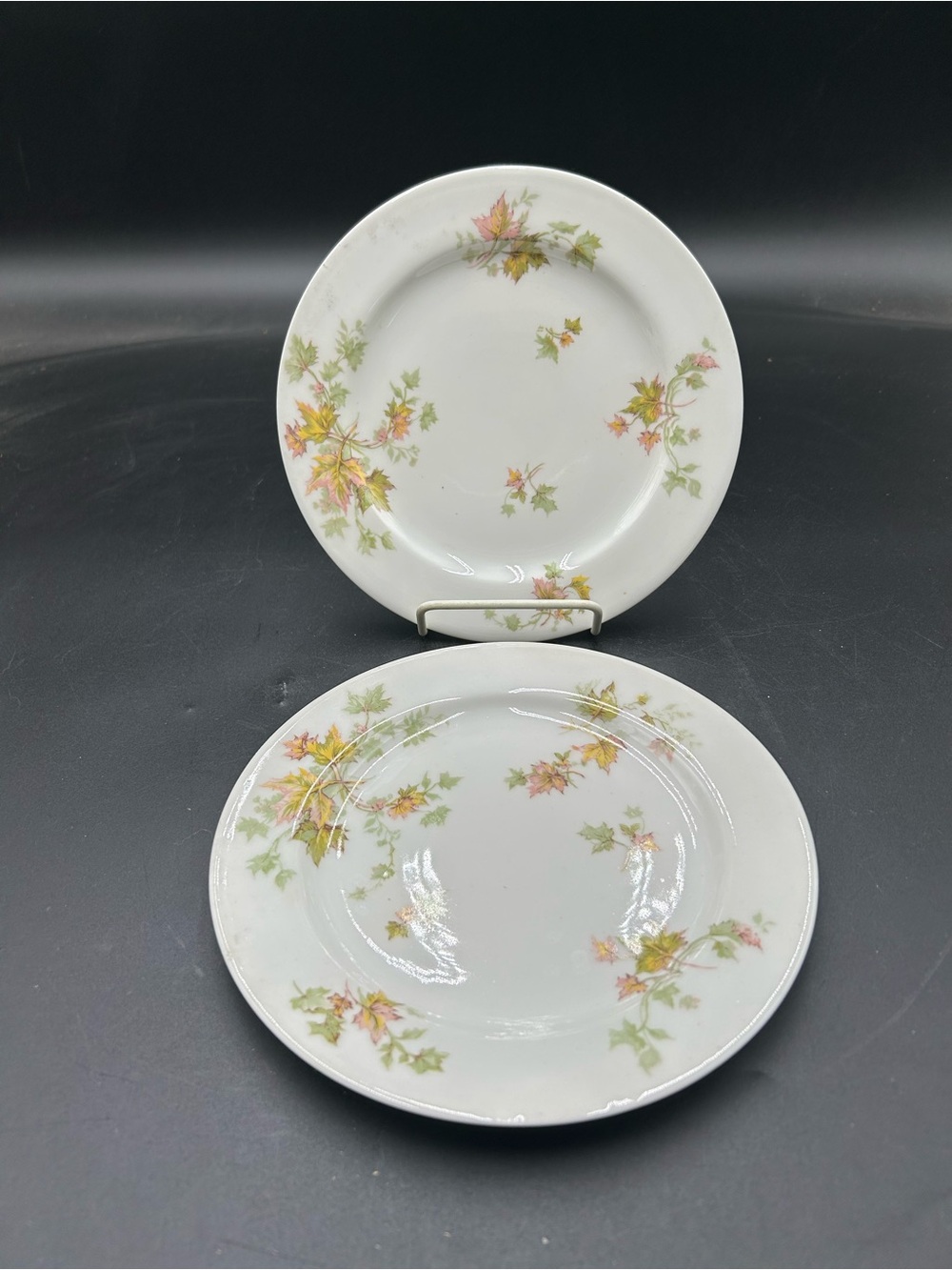 Haviland Limoges White Porcelain salad Plates with Autumn Leaf Pattern